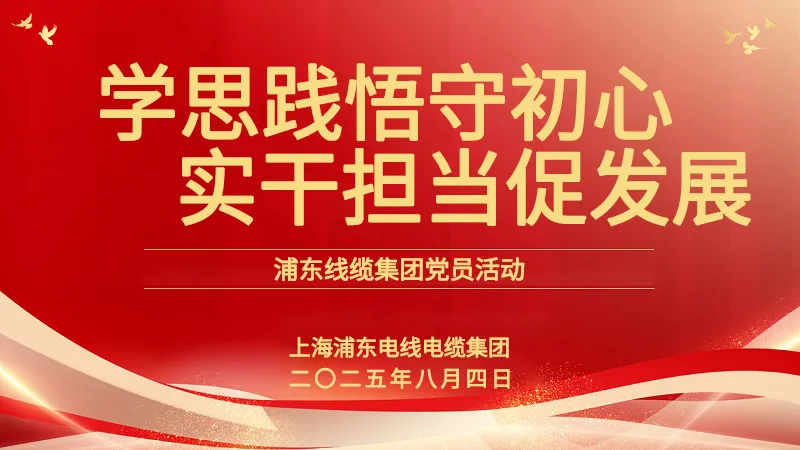 黨員活動(dòng) | 浦東線纜集團(tuán)：學(xué)思踐悟守初心，實(shí)干擔(dān)當(dāng)促發(fā)展